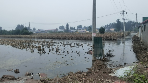 1691597118736572.png image.png